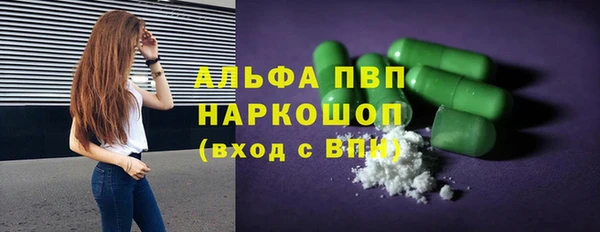 прущие грибы Белоозёрский