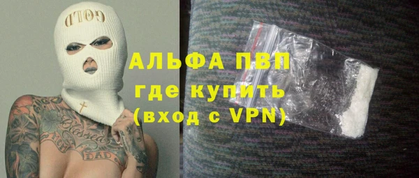 прущие грибы Белоозёрский