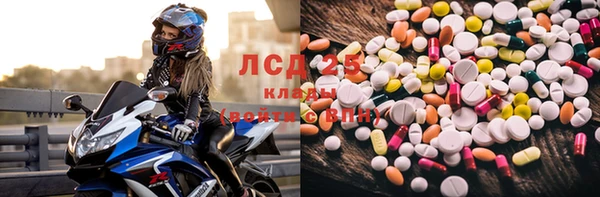 прущие грибы Белоозёрский